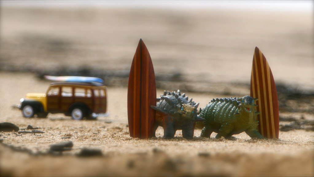 picture of surfboards and lizards